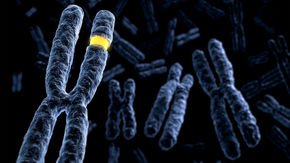 There are about 20,000 human genes. So why do scientists only study a small fraction of them?