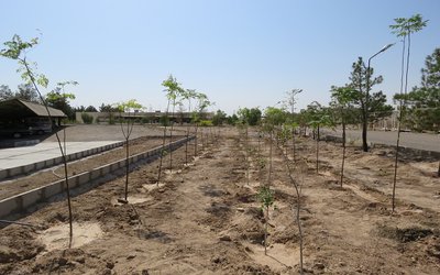 تقدیر و تشکر سرپرست مرکز آموزشی پژوهشی درمانی کوثر از گروه عملکرد مثبت