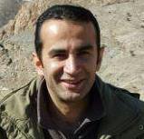 یوزپلنگ ها چگونه به خطر می افتند؟