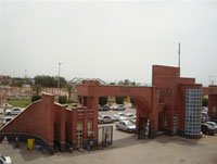 ۳۵ نهال در دانشگاه آزاد اسلامی گناوه غرس شد