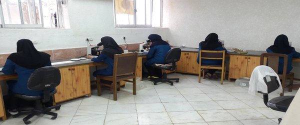 آغاز آزمایشات بیمارسنجی هسته های فناورانه نوغان در مرکز تحقیقات ابریشم