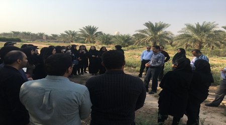 برگزاری دوره آموزشی، مهارتی برداشت و بسته بندی خرما، برای کارشناسان مروج پهنه استان خوزستان در پژهشکده خرما و میوه های گرمسیری