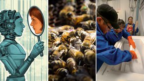 Top stories: a one-word Turing test, honey bees at risk, and Indigenous genome experts