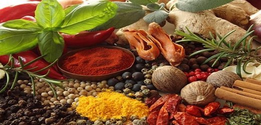 جولان عطاری‌های غیر مجاز در امور پزشکی/داروهایی که به کام سودجویان منتهی می‌شود