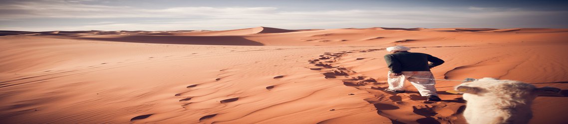 Humans delayed the onset of the Sahara desert by 500 years