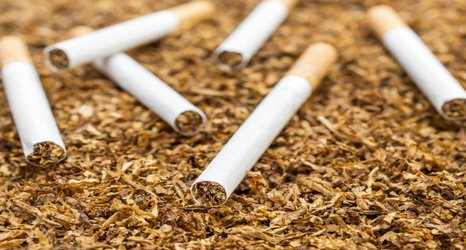 Cigarettes have a significant impact on the environment, not just health