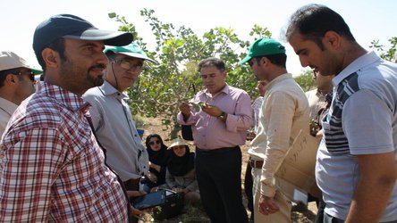 برگزاری هفته پنجم دوره دوم آموزش مهارت افزایی  برای همکاران جدیدالاستخدام