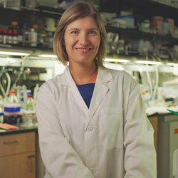 Gradinaru Receives NIH Director's Award