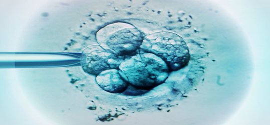 Japan set to allow gene editing in human embryos