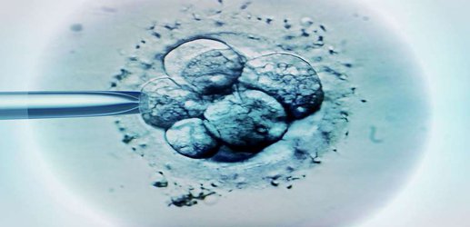 IVF success boosted by drug that helps embryos implant in the womb