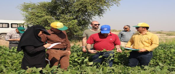 بازدید نمایندگان فائو از برنامه مشترک همکاری های فائو و ایران