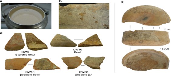 Ancient Proteins From Unwashed Dishes Reveal the Diets of a Lost Civilization