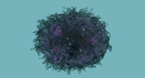 Supercharged natural killer cells may hold promise for cancer 