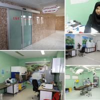 تولد ده نوزاد از ابتدای سال جاری تاکنون با کمک تکنیک های درمان ناباروری در بیمارستان حضرت ولیعصر(عج) شهرستان فسا