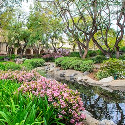 Faculty Join Caltech