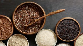 One of the world’s most important crop gene storehouses just got a funding boost