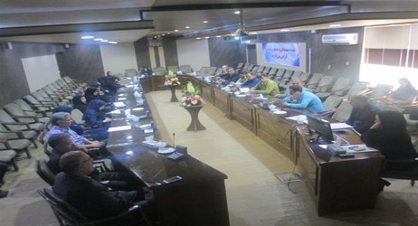 کمیته نظام مراقبت بیماری ها و بیماری آنقلوانزا