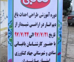 برگزاری دوره آموزشی طراحی احداث باغ دیم انار در اراضی شیبدار