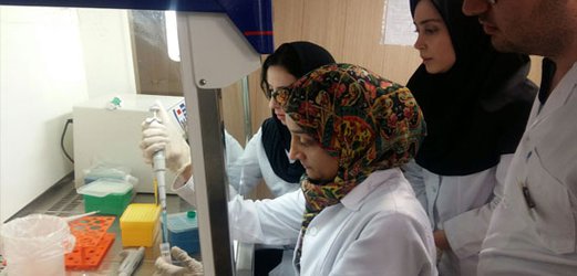 کارگاه کشت سه بعدی سلول در میکروفلویدیک  در دانشکده فناوریهای نوین پزشکی برگزار شد