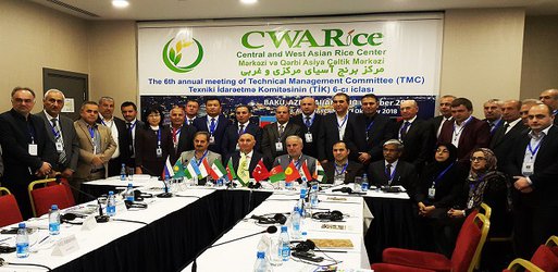ششمین اجلاس کشورهای عضو مرکز بین المللی برنج آسیای مرکزی و غربی CWARice برگزار شد