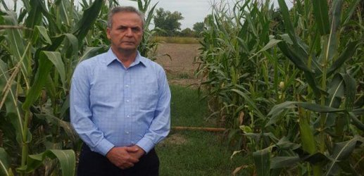 تقدیر رییس موسسه تحقیقات اصلاح و تهیه نهال و بذر از پژوهشگر بخش تحقیقات زراعی و باغی در راستای معرفی ذرت رقم طاها