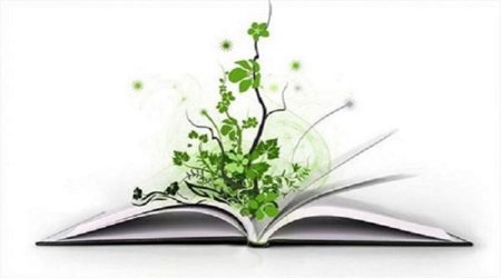 مسابقه بزرگ کتابخوانی " سلام بر ابراهیم " برندگان خود را شناخت