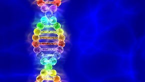 Giant study links DNA variants to same-sex behavior