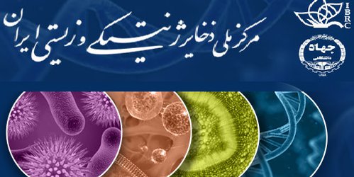 خطر نابودی هزاران نمونه مرکز ملی ذخایر ژنتیکی و زیستی به دلیل قطعی برق!