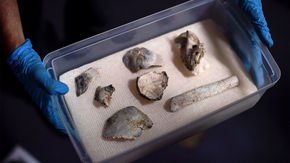 Recovery of famous treasures raises hopes of more finds in Brazilian museum’s ashes