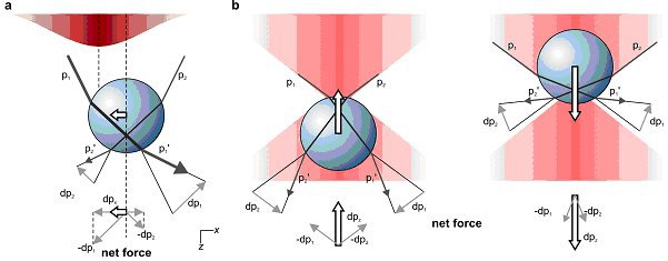 انبرک‌های نوری: نقطه‌ی تلاقی فیزیک و زیست‌شناسی