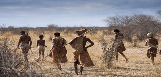 Rare genetic sequences illuminate early humans' history in Africa