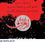 راهنمای سفر ایمن برای افراد آسیب پذیر