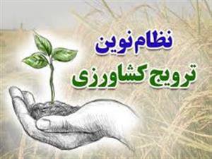 معرفی و شروع به کار محققین معین