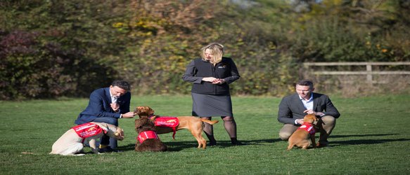 Good Dogs Could Help Identify Malaria Carriers