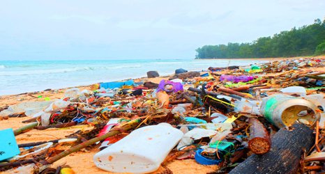 Imperial startups win Government funding to cut plastic waste 