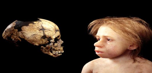 Neanderthals may have breastfed their young for more than two years