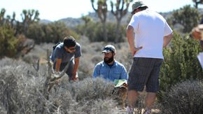 Citizen science needs to look more like society, report says