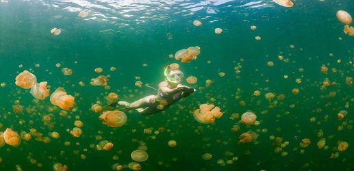 Pacific island to ban some sun creams in a bid to save its coral reefs