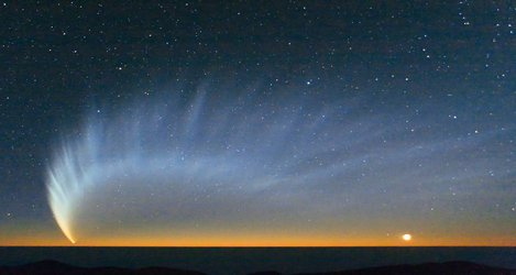 Comet tails: charged dust blowing in the solar wind