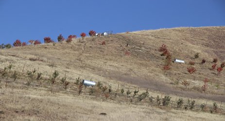 محروم شدن آیندگان از داشتن دژالموت