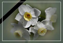 برگزاری مراسم یادبود درگذشت برادر گرامی جناب آقای دکتر ابطحی