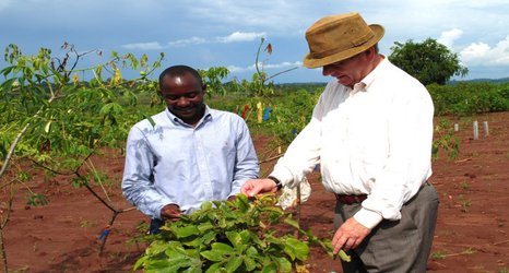 How to feed the world’s population sustainably