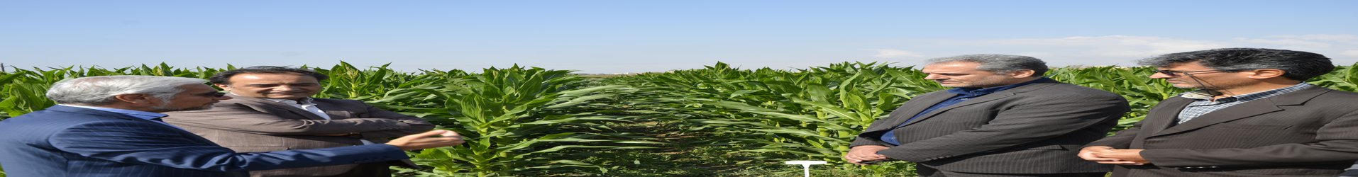 بازدید دکتر خاوازی رئیس محترم سازمان تحقیقات، آموزش و ترویج کشاورزی از موسسه تحقیقات ثبت و گواهی بذر و نهال