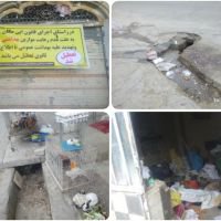 مغازه پرنده فروشی به علت عدم رعایت اصول و مقررات بهداشتی در شهر فسا تعطیل شد