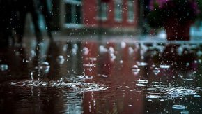 In just 12 days, the world gets half of its annual rainfall