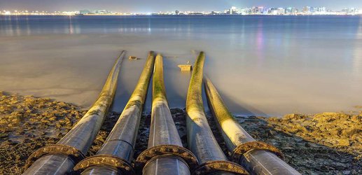 Microbots made from mushroom spores could clean polluted water