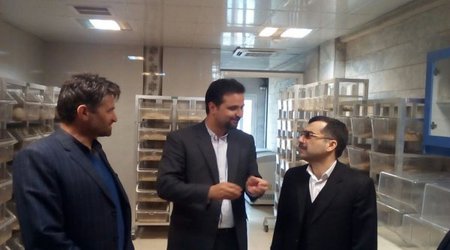 گسترش فعالیت های پژوهشی در مسیر بهره برداری بیشتر از طلای سرخ