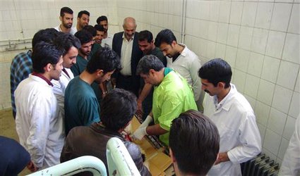 آموزش روزانه ۱۰۰ دانشجو در درمانگاه دامپزشکی دانشگاه آزاد شهرکرد