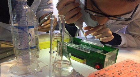 حمایت صندوق حمایت از پژوهشگران از پروژه‌های سلول‌های بنیادی