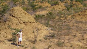 These termite mounds are so big you can see them from space
